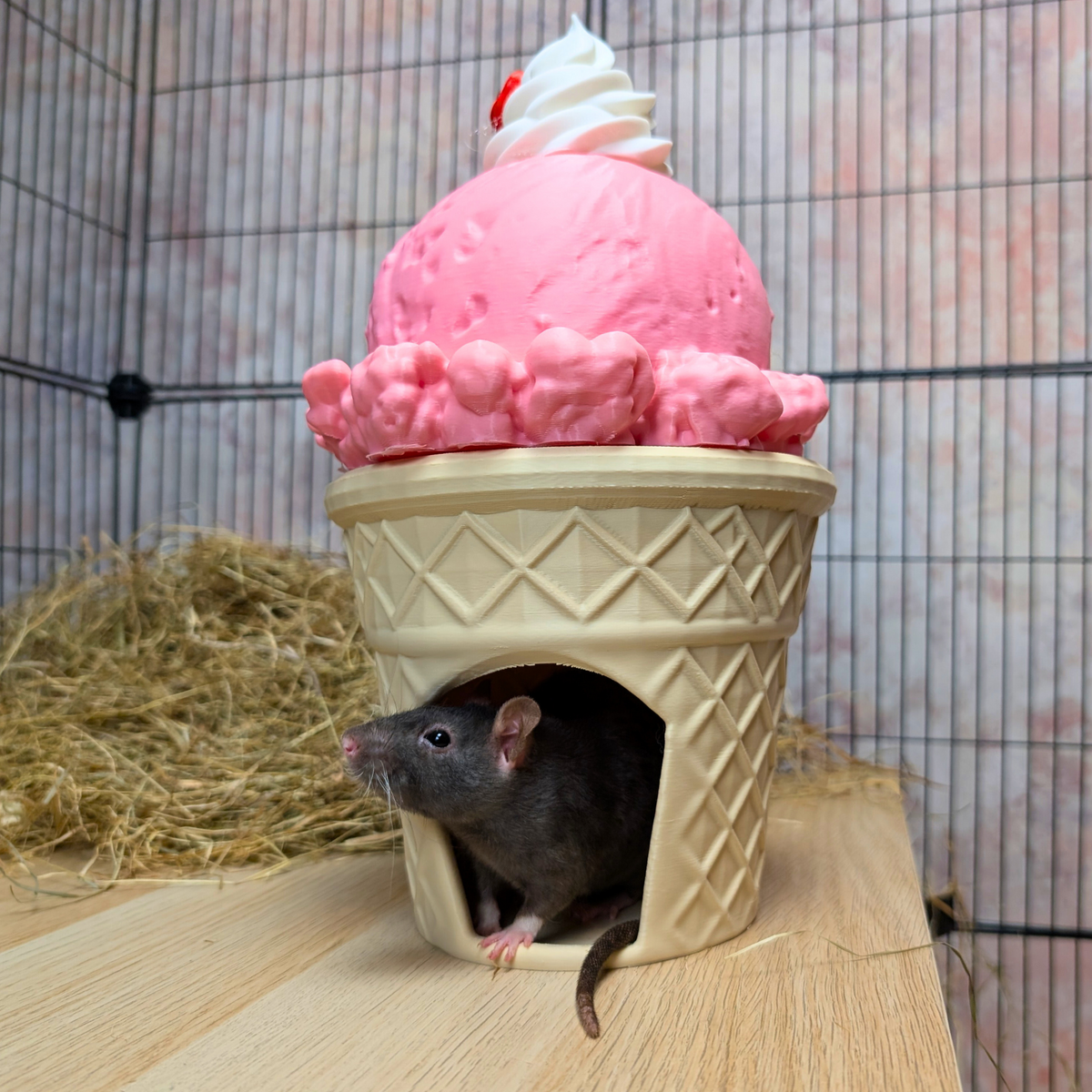 Strawberry Ice Cream Cone Rat Hide: rat emerges from the cone hide doorway