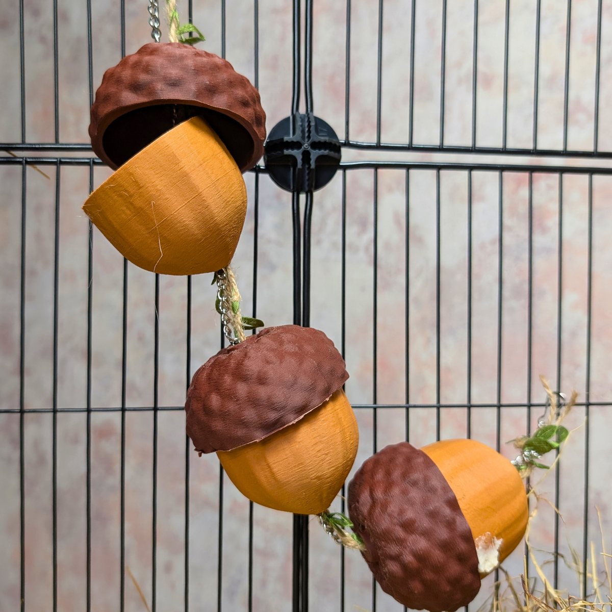 Acorn Rat Foraging Garland: three acorn cups hang at different heights in the cage
