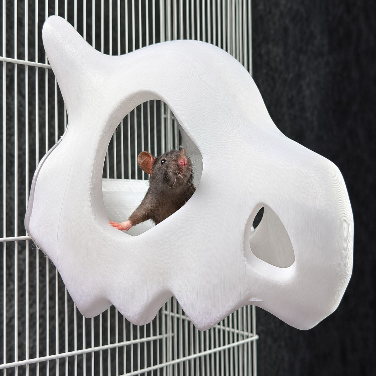Gothic Skull Rat Hide & Hanging Nest: rat looking through the skull opening