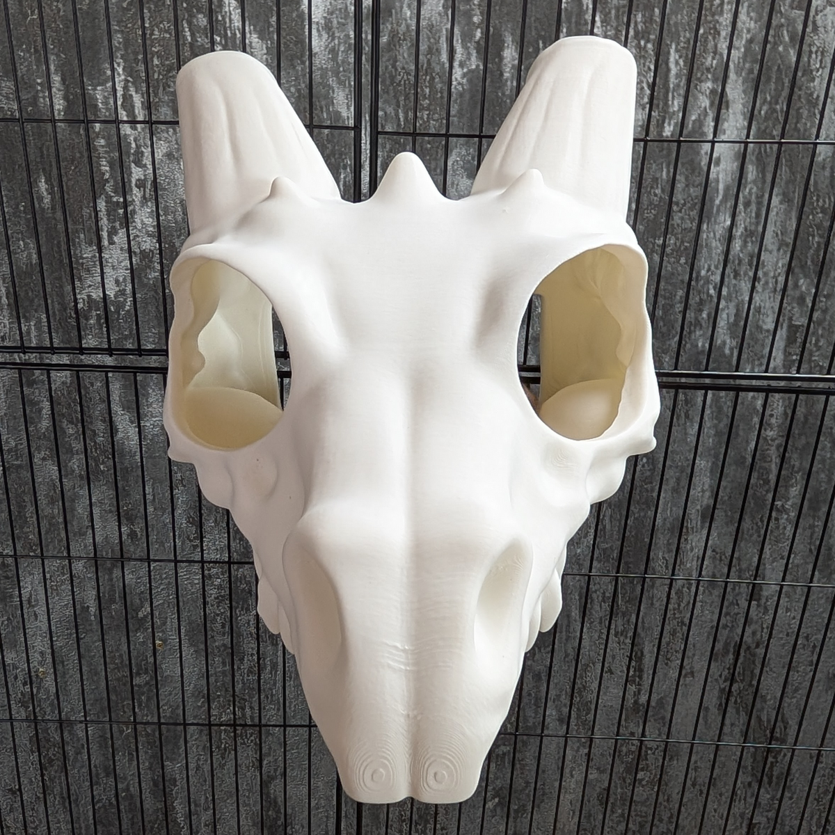 Dragon Skull Rat Hide: close front view of the long skull and eye openings