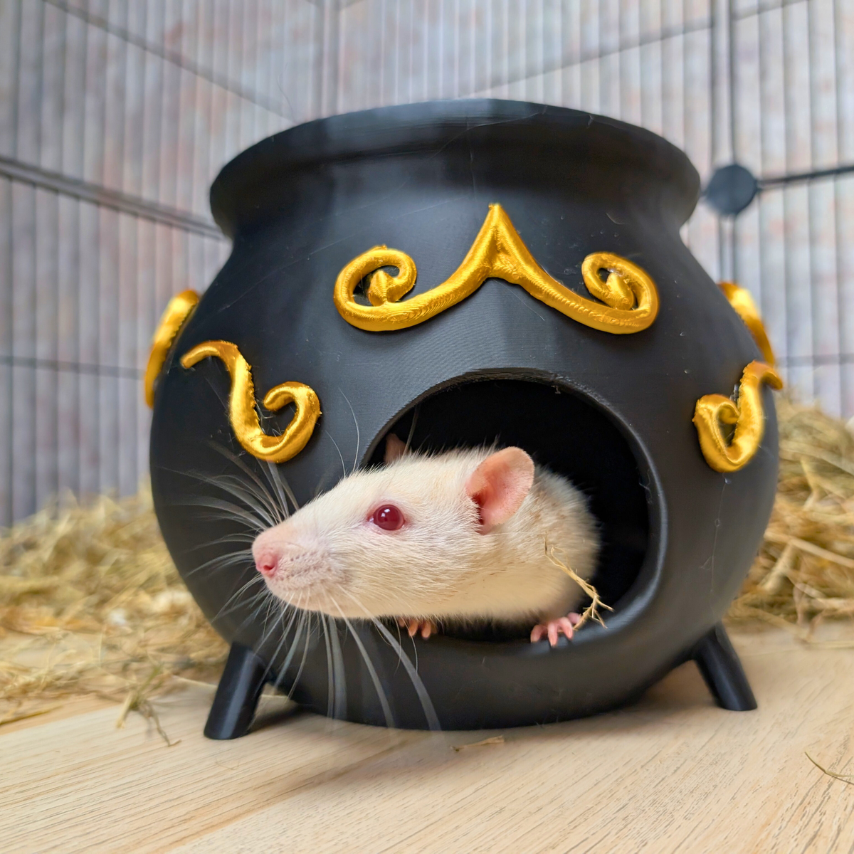 Gothic Rat Cage Accessories Set: white rat peeks from cauldron doorway