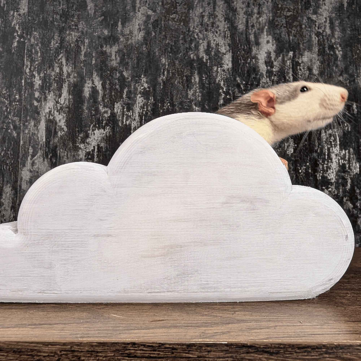 Cloud Rat Shelves & Hideaway mounted on cage bars