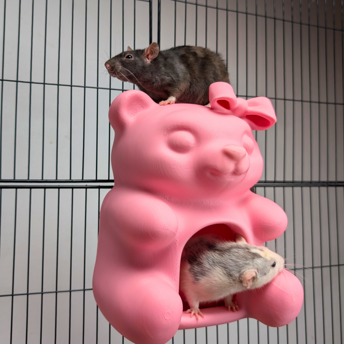 Pink Gummy Bear Rat Hide with rat peeking through doorway