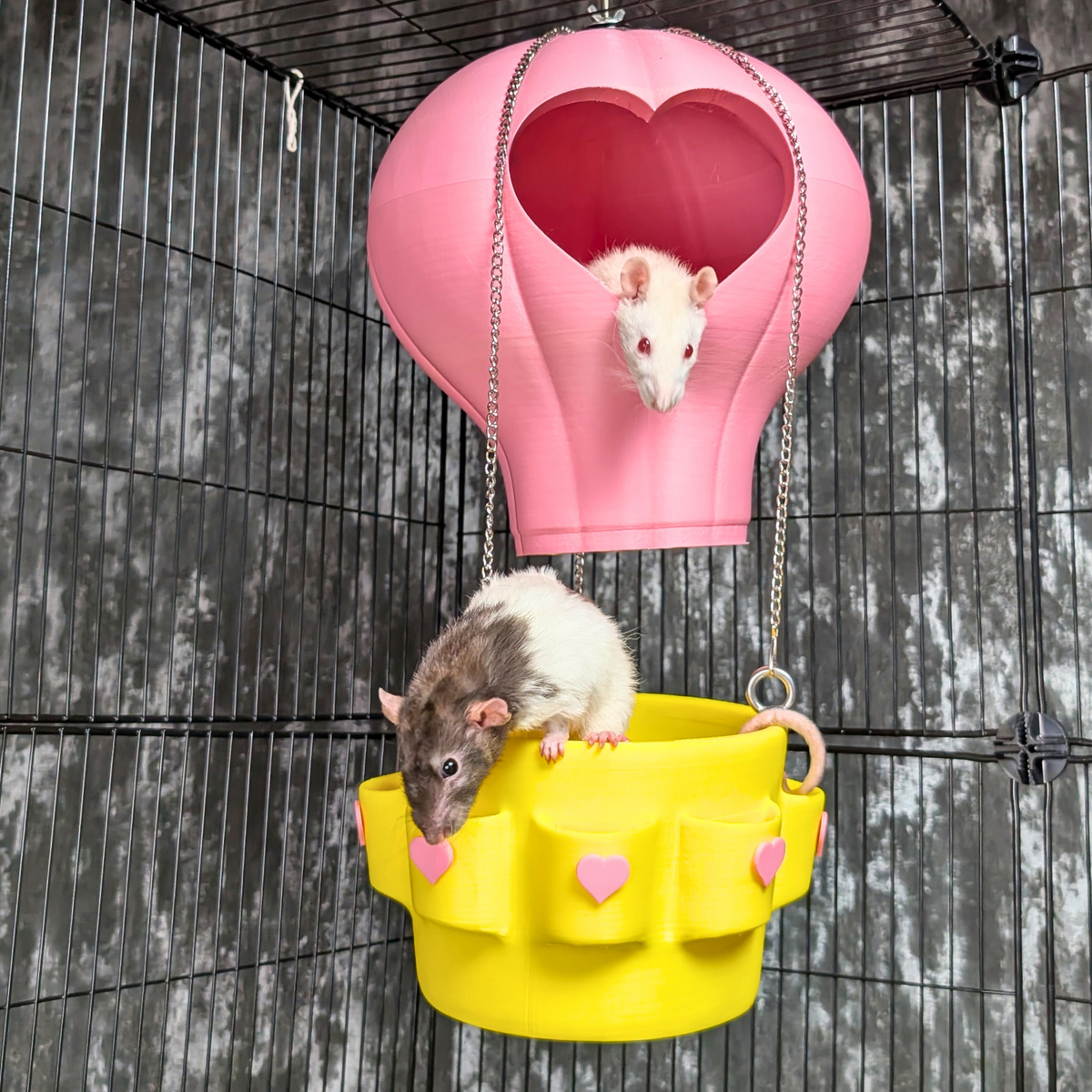 Hot Air Balloon Rat Hide – Hanging Cage Basket: Rats exploring the pink balloon hide and yellow hanging basket