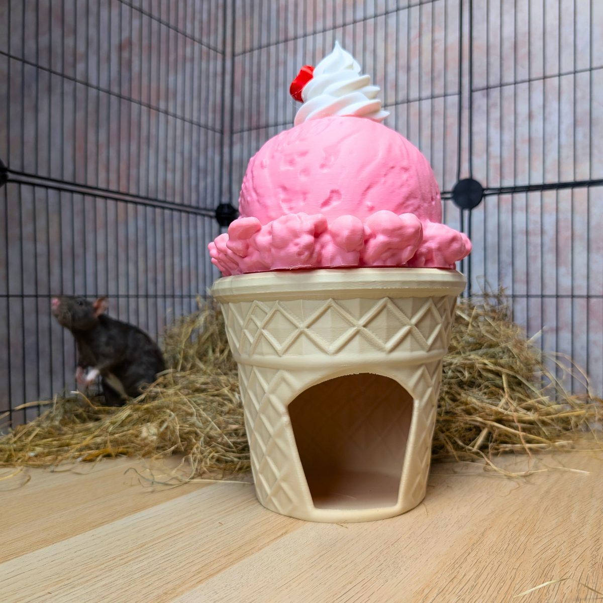 Strawberry Ice Cream Cone Rat Hide: empty doorway beneath pink scoop