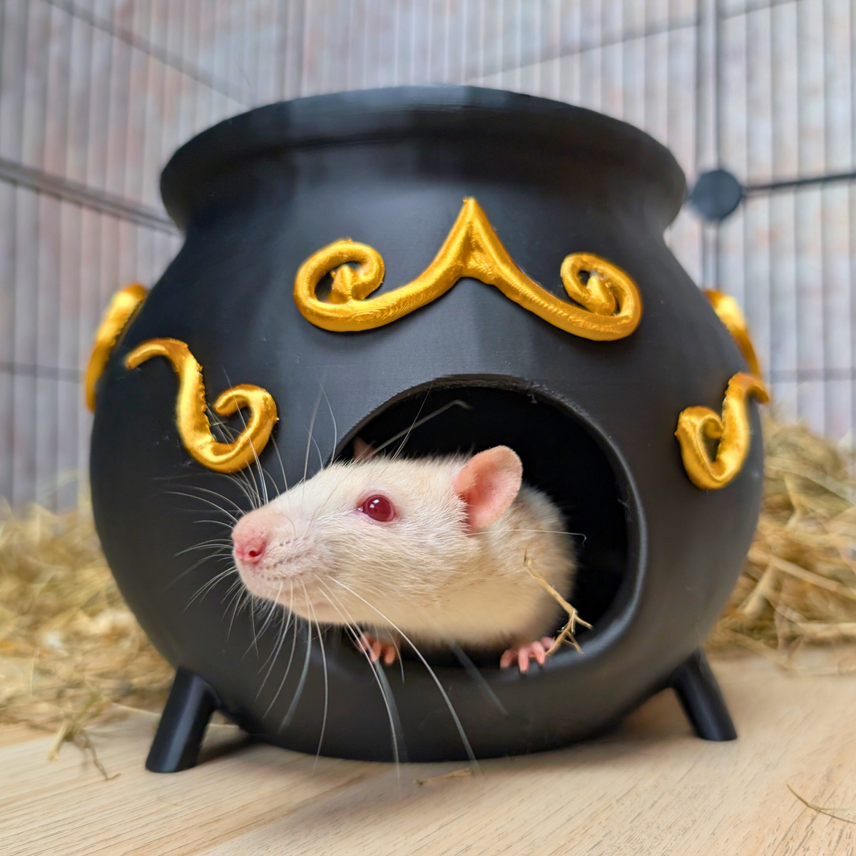 Witch Cauldron Rat Hide: white rat peeks from the round front doorway