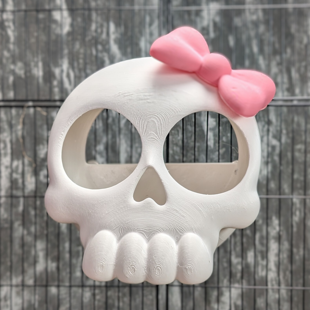Gothic Skull Rat Hide: Front view of the skull hide with pink bow