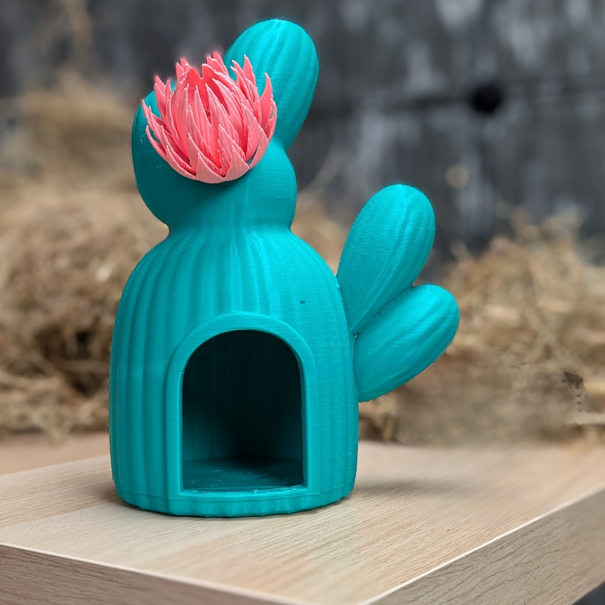 Cactus Rat Hide: front view of the empty teal cactus hide doorway