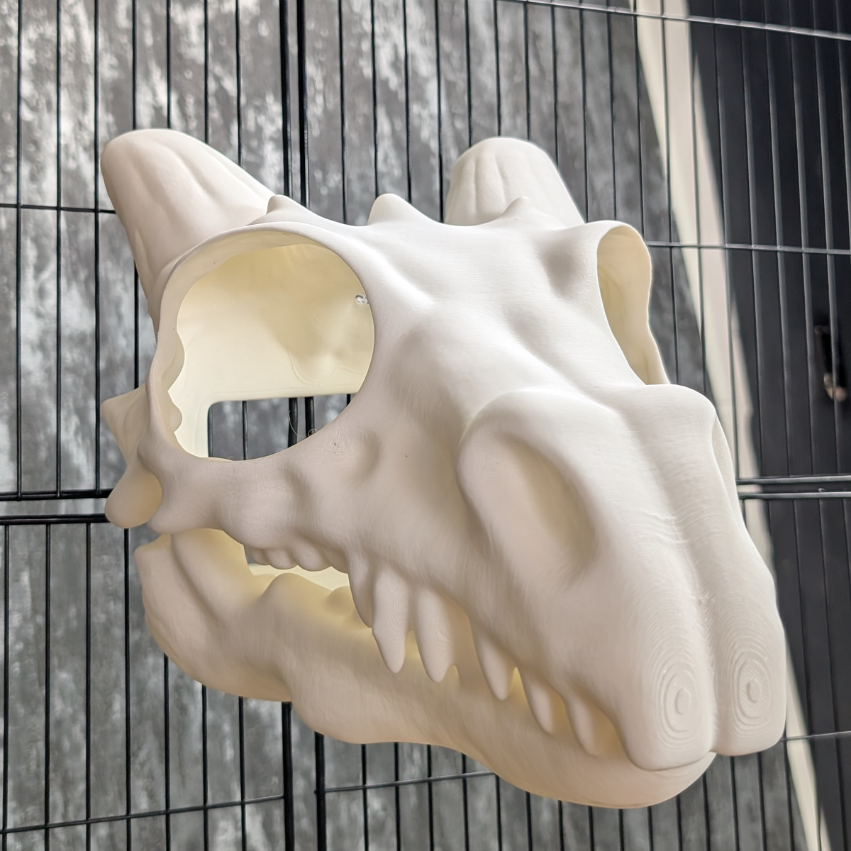 Dragon Skull Rat Hide: angled side view of the skull-shaped hide