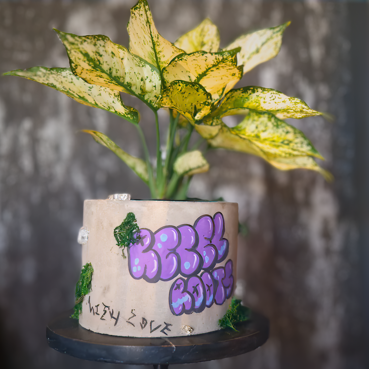 Planted personalised graffiti pot with purple lettering
