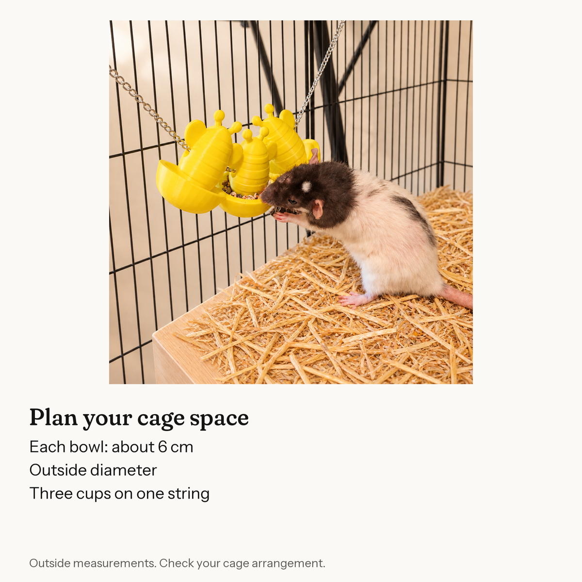 Outer size guide for Bee Rat Foraging Cups.