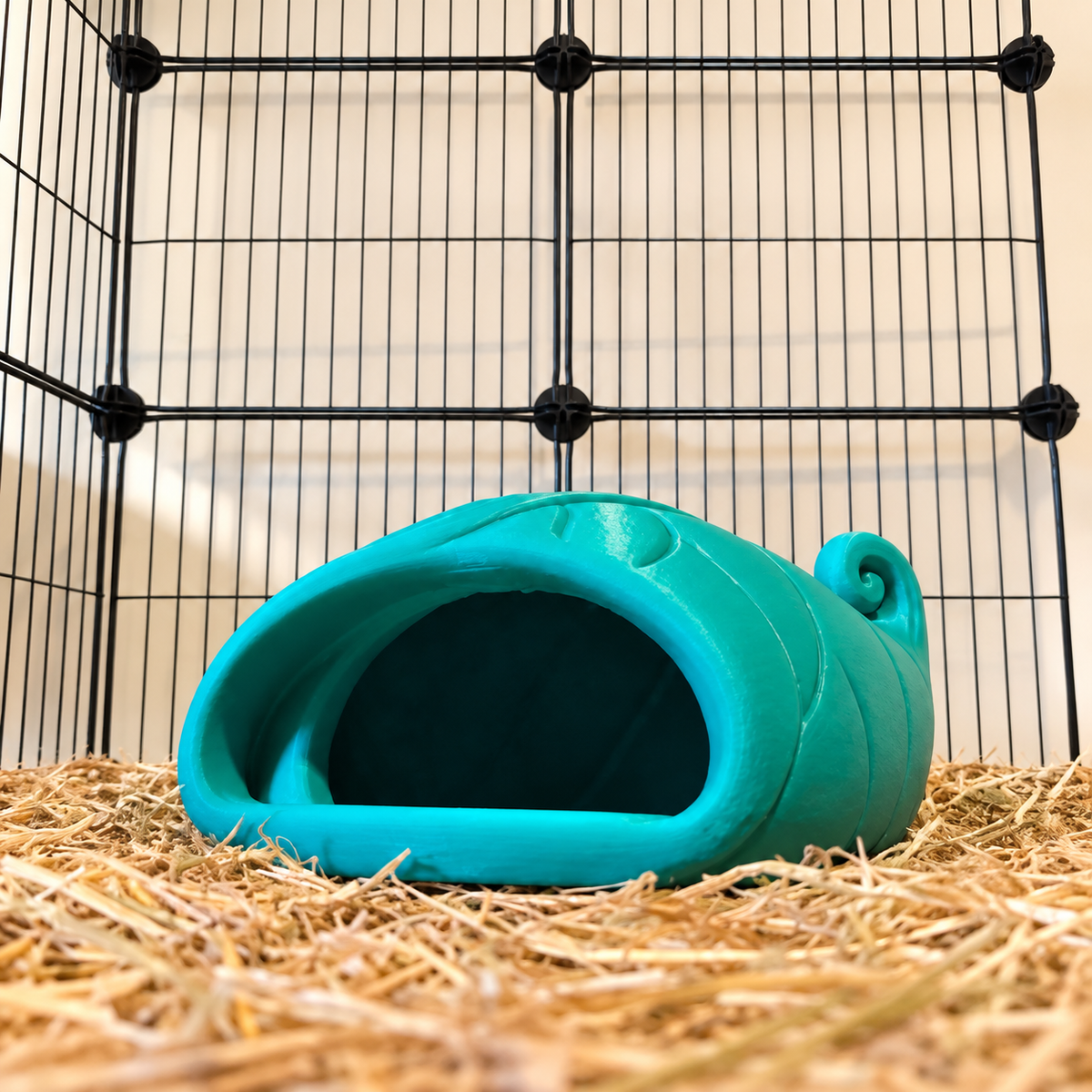 Empty teal-green curled-leaf hide on hay, showing the front lip and dark entrance.