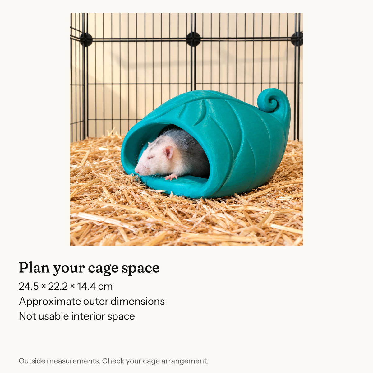 Outer size guide for Curled Leaf Rat Floor Hide.