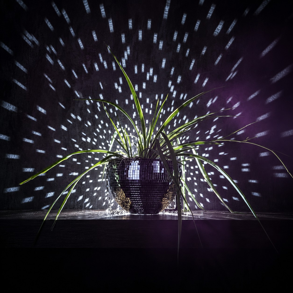 The Glitter Ball - Light Scatter Detail