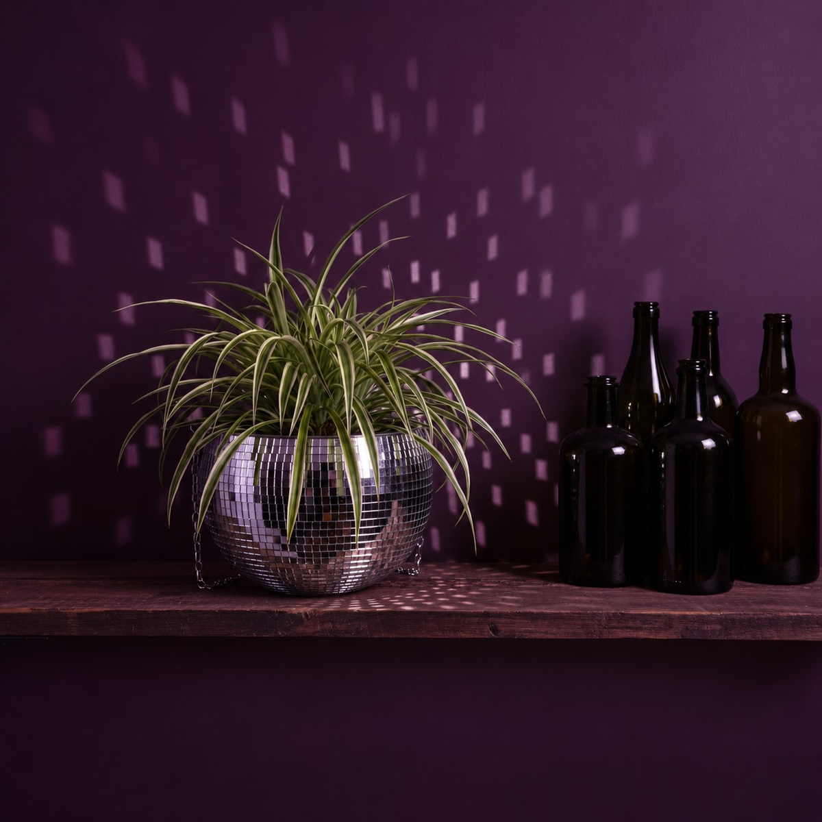 The Glitter Ball - Shelf Display Lifestyle