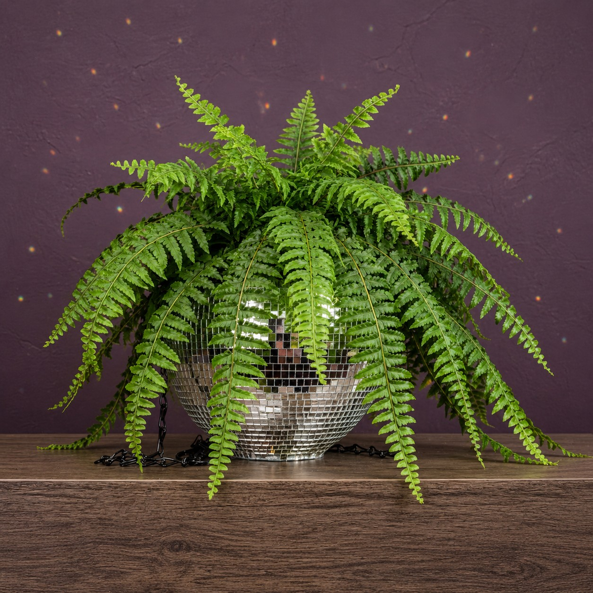 The Glitter Ball - Planted with Boston Fern