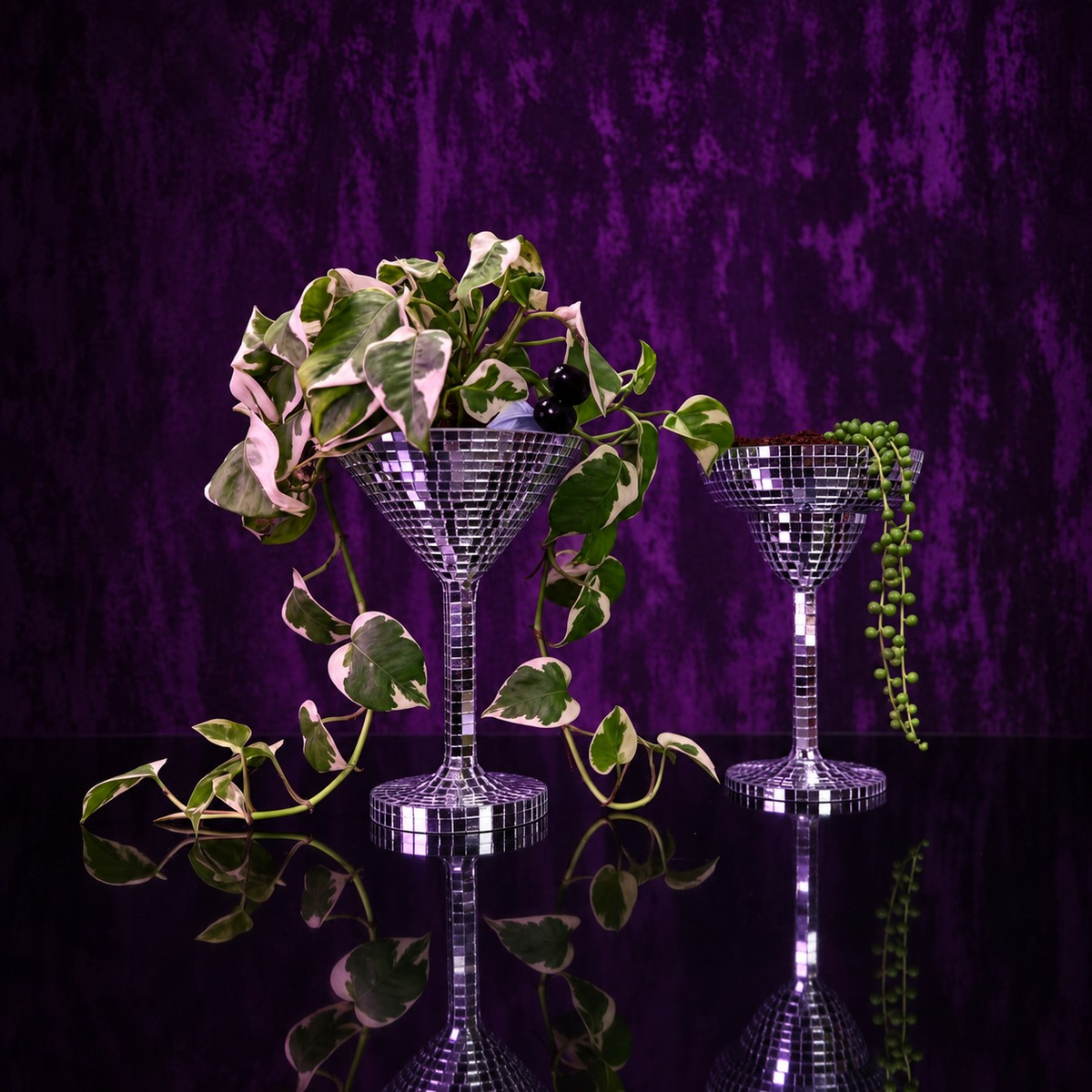 Happy Hour disco ball planters with trailing pothos plants