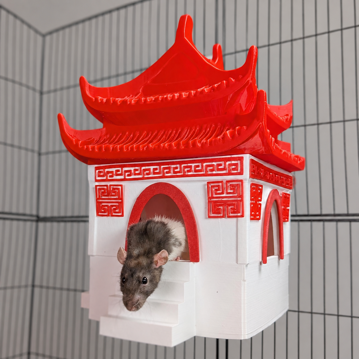 Chinese Temple Rat Hide: front view of the red and white temple with rat