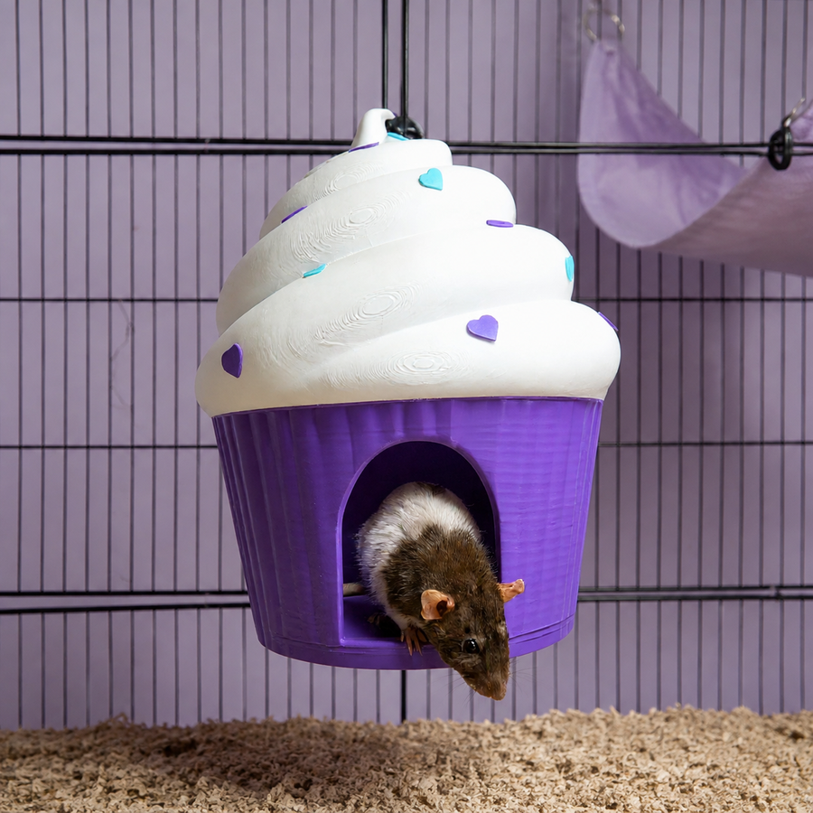 Cupcake Rat Hide with rat at the doorway