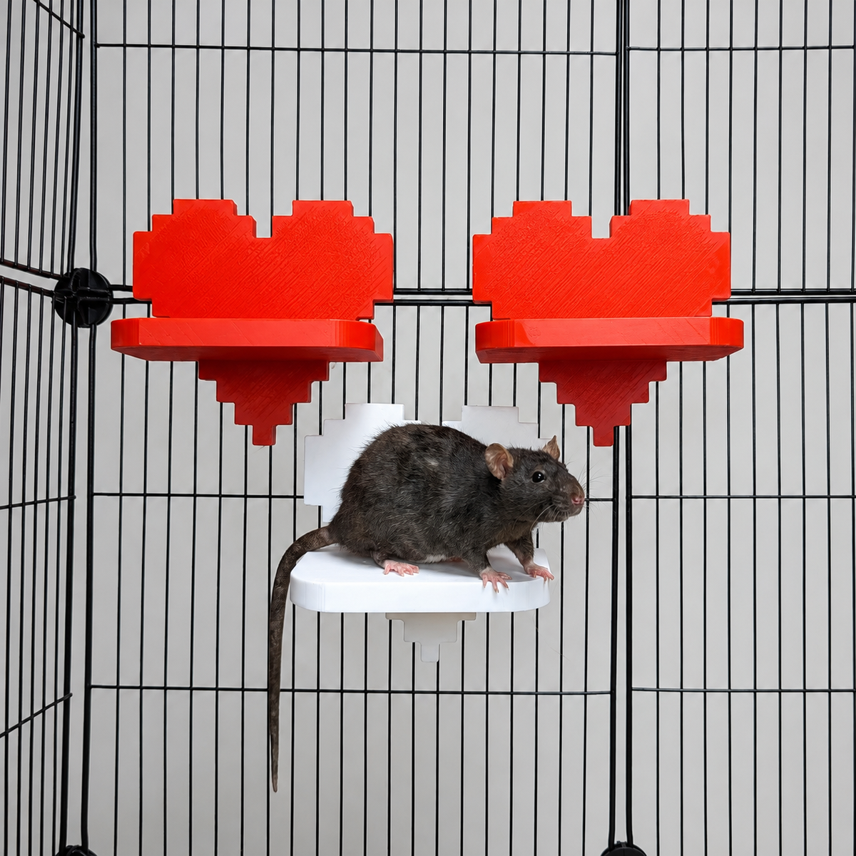 Pixel Heart Rat Cage Shelves with rat below red heart ledges