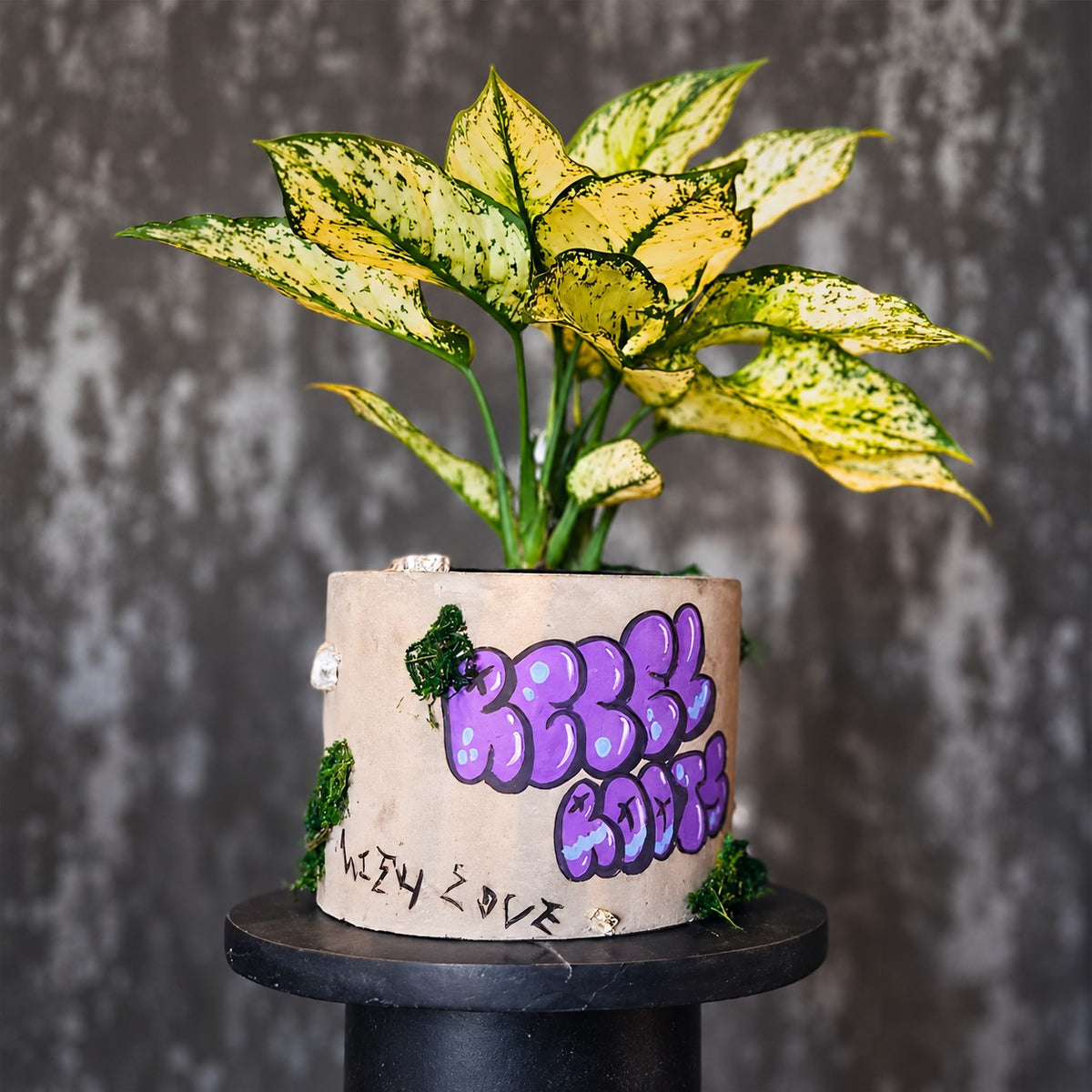 Planted personalised graffiti pot with purple lettering and green moss detail