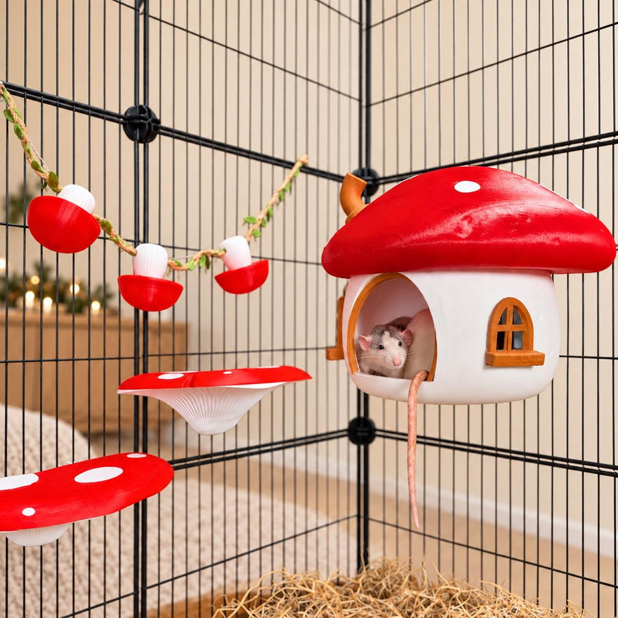 Fairy Mushroom Rat Cage Accessory Kit | Hide, Shelves & Foraging Cups in a Christmas setting