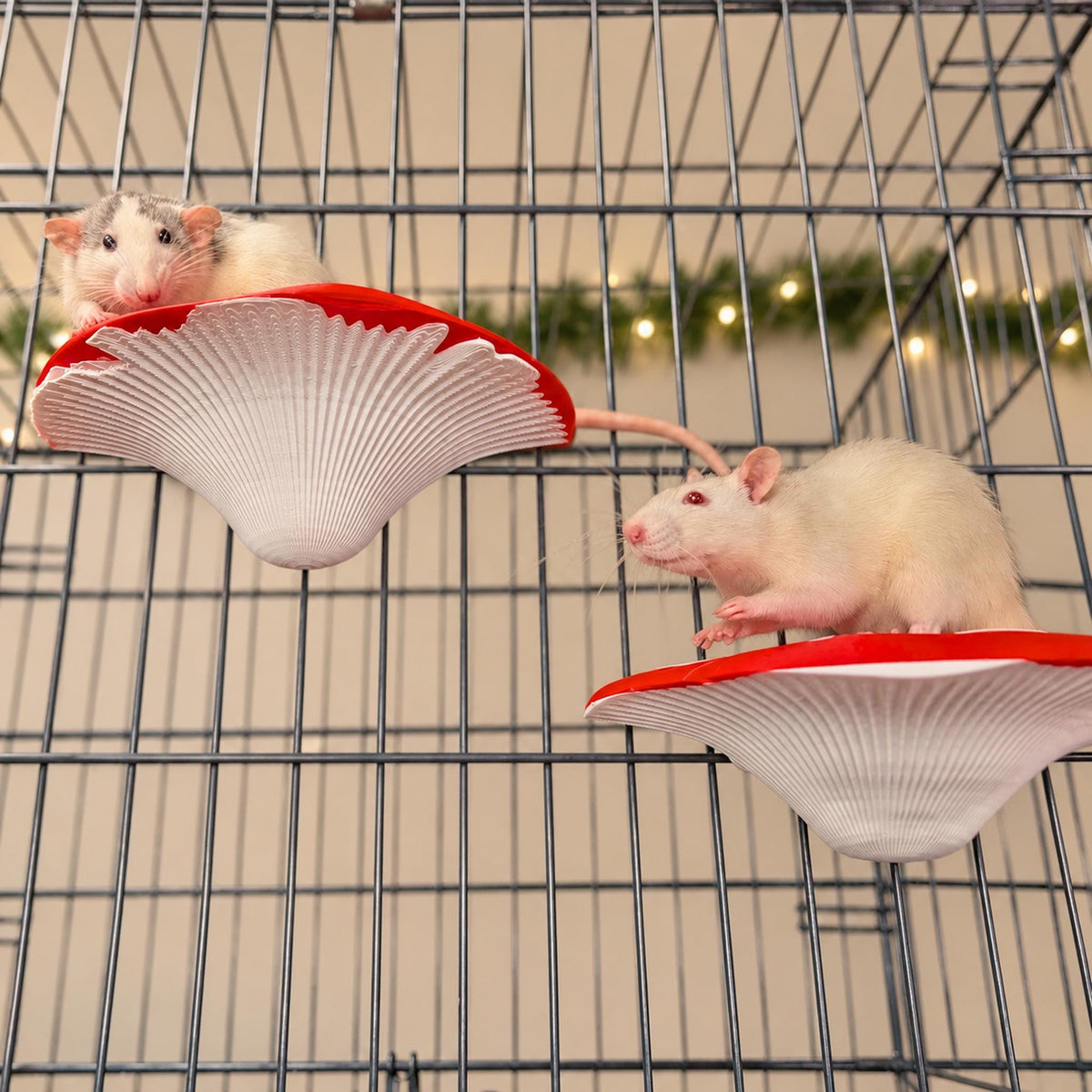 Mushroom Rat Shelf Pair: Rat climbing from the red mushroom shelf toward a hanging forage cup