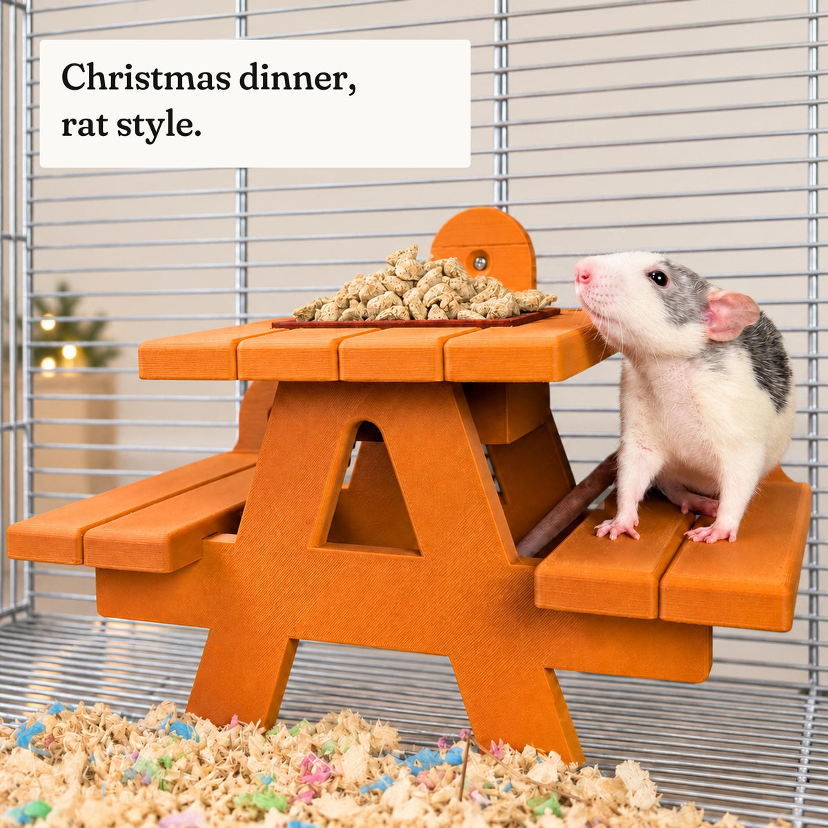 Pet rat standing beside the orange picnic bench food bowl inside a cage