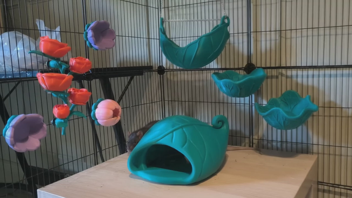 Botanical rat cage bundle with teal-green leaf accessories and flower foragers, followed by a rat emerging from the leaf hide.