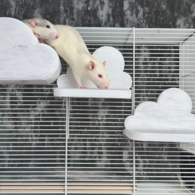 Cloud Rat Cage Shelves & Hideaway Set
