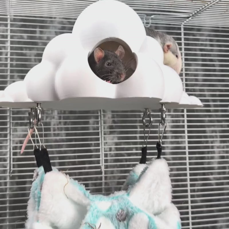 Cloud Rat Hammock & Hide