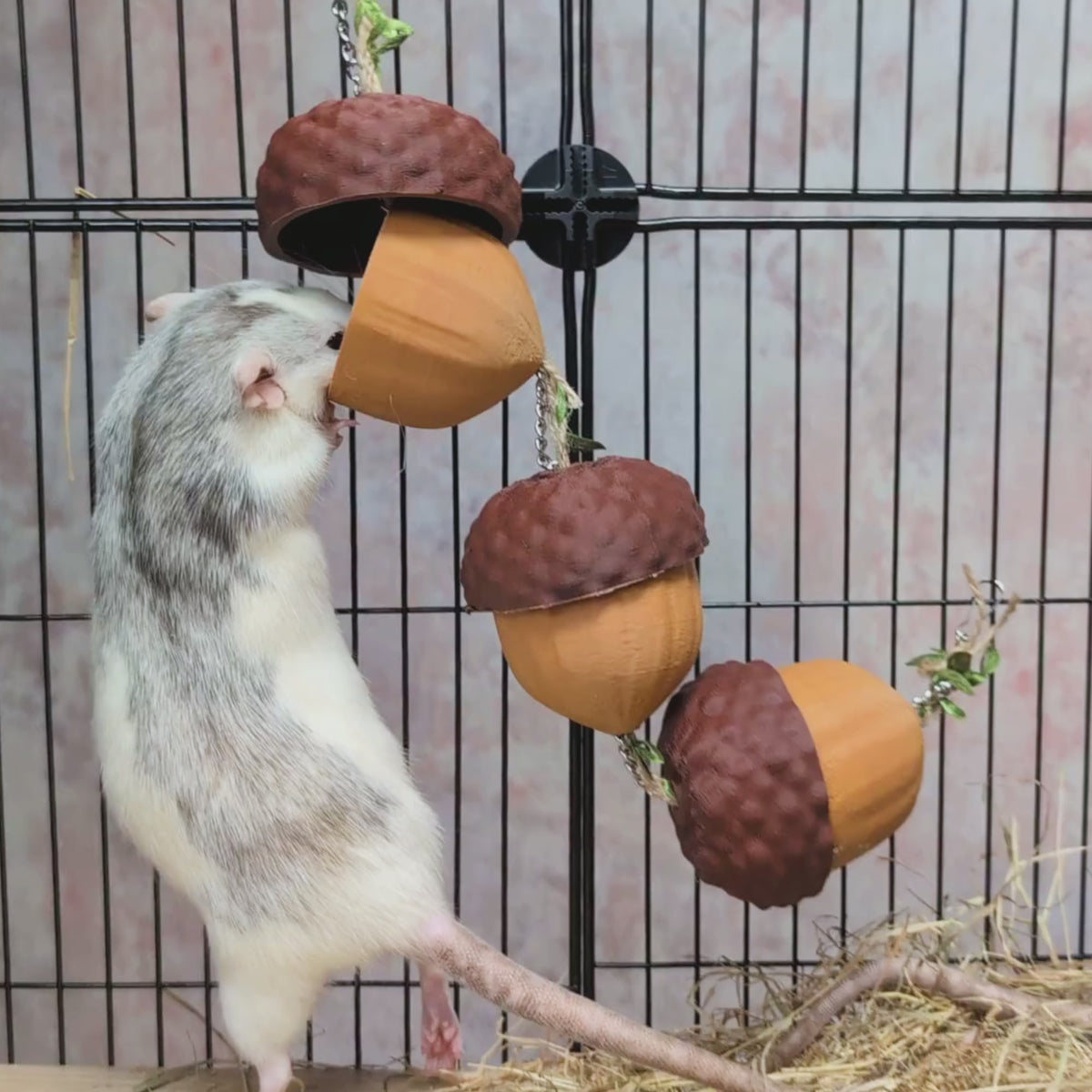 Acorn Rat Foraging Garland – 3 Cups
