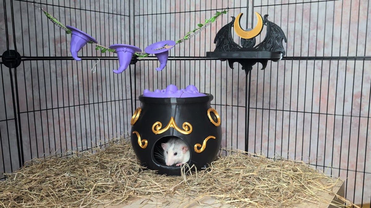 Gothic Rat Cage Accessories Set