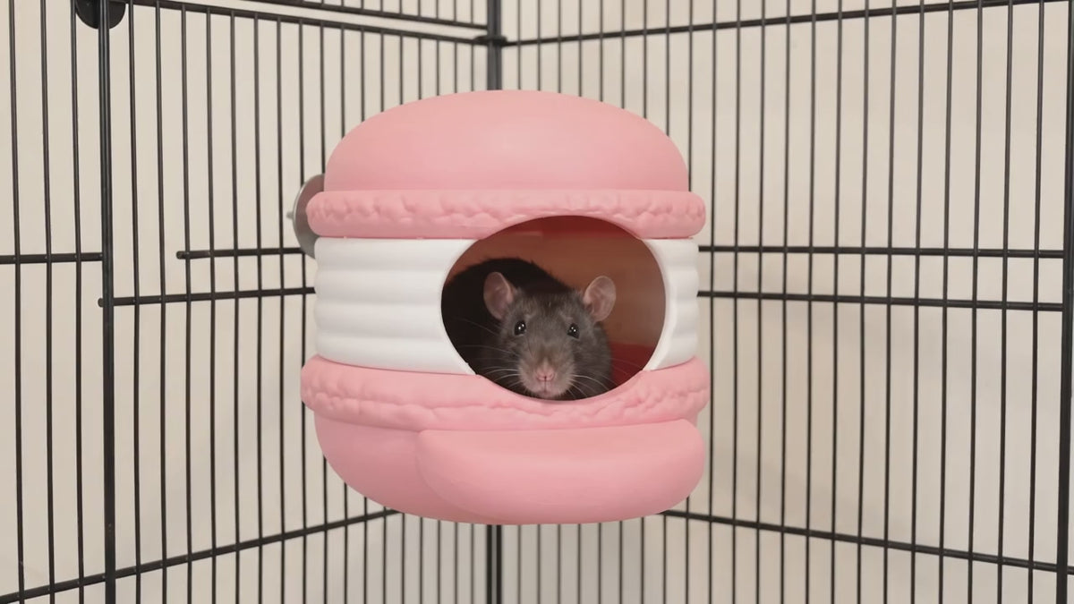 Macaron rat hide in use, with a rat peeking from the entrance