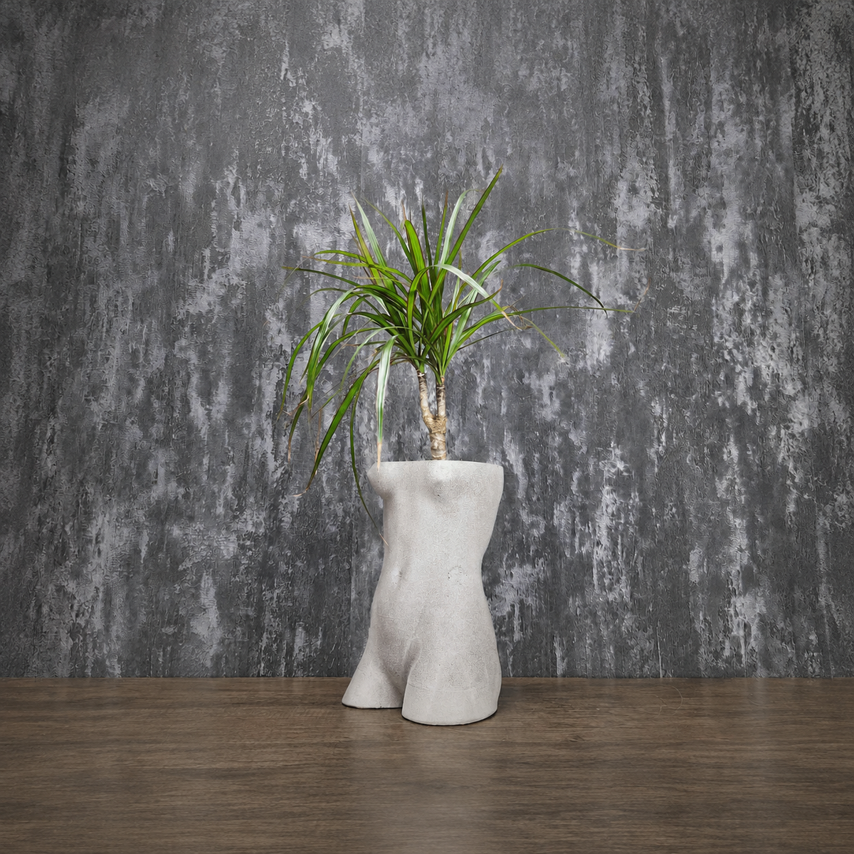 David and Venus Torso Planters | Cast Stone Pots