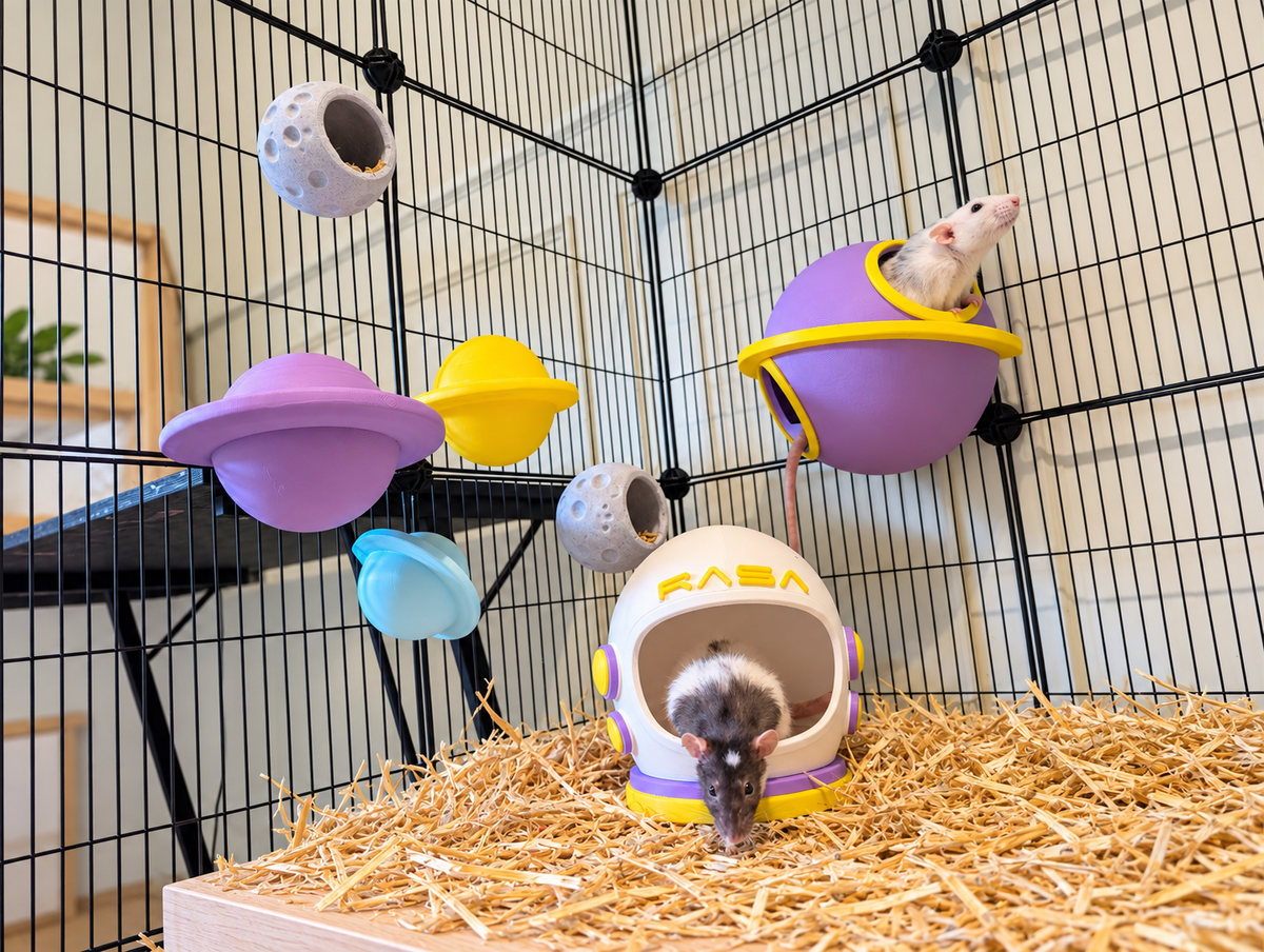 fullset in use — Space rat cage bundle